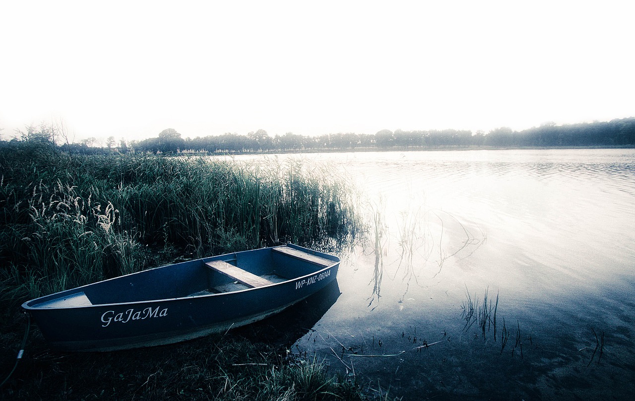 lake  boat  landscape free photo