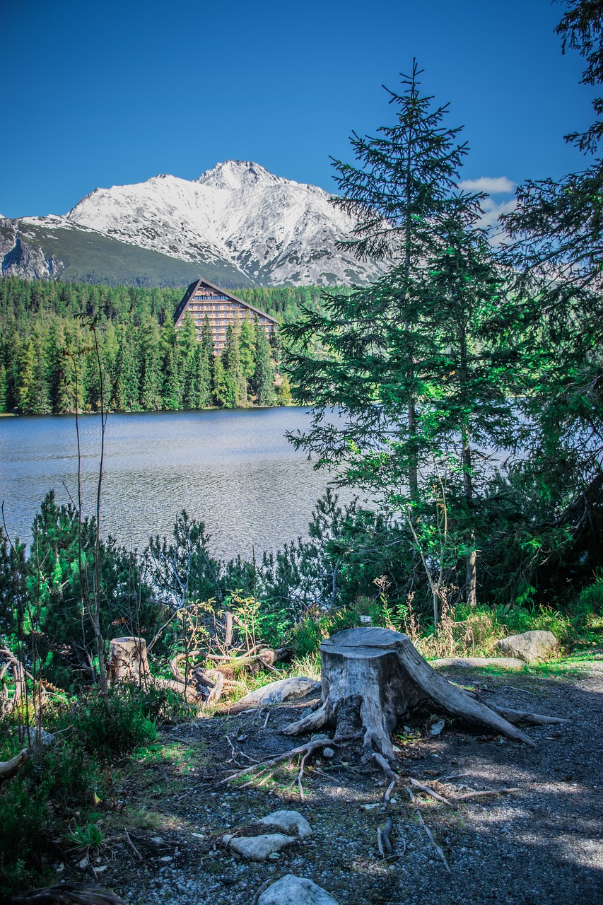 lake  pleso  nature free photo