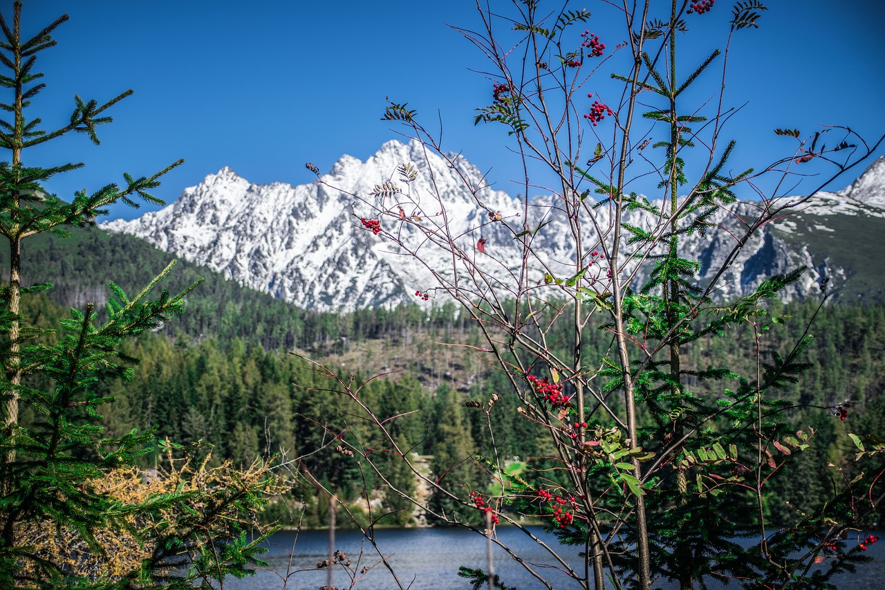 lake  pleso  nature free photo