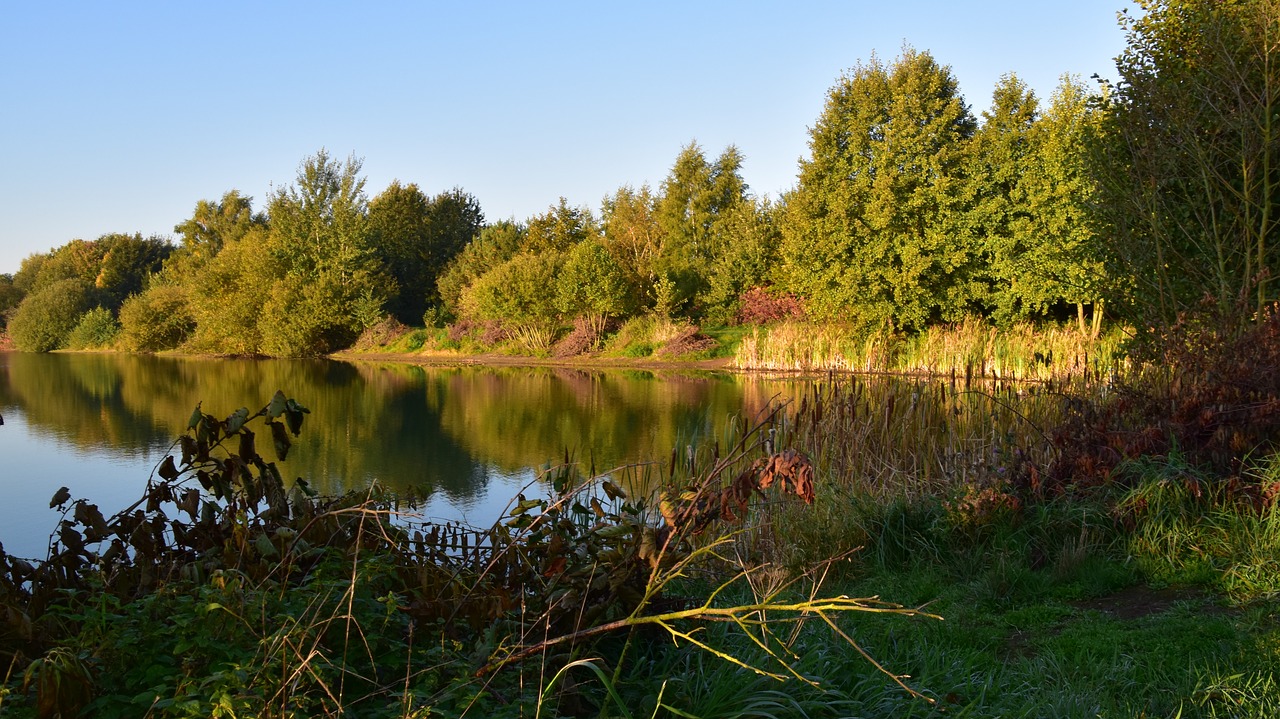 lake  pond  water free photo