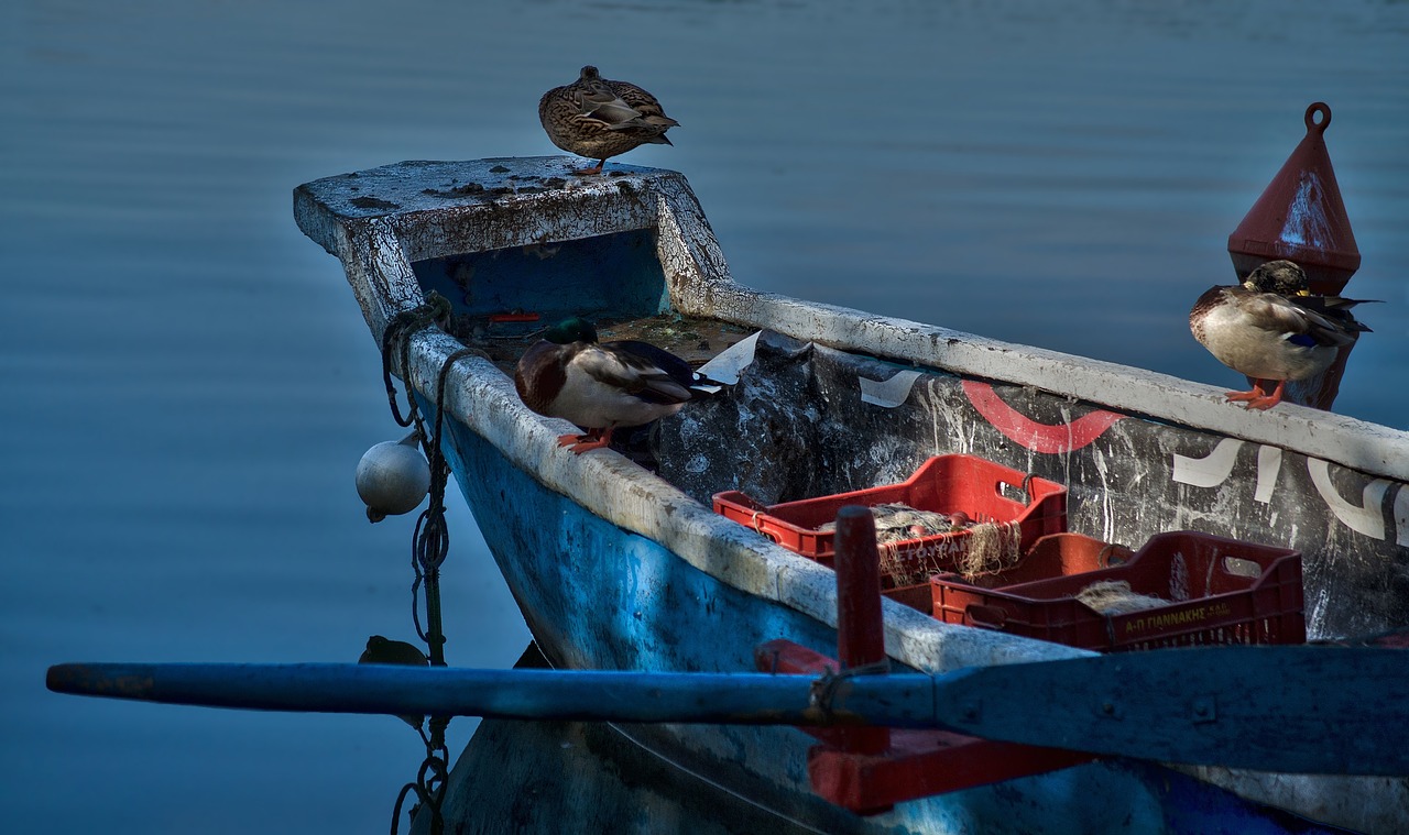 lake  boat  nature free photo