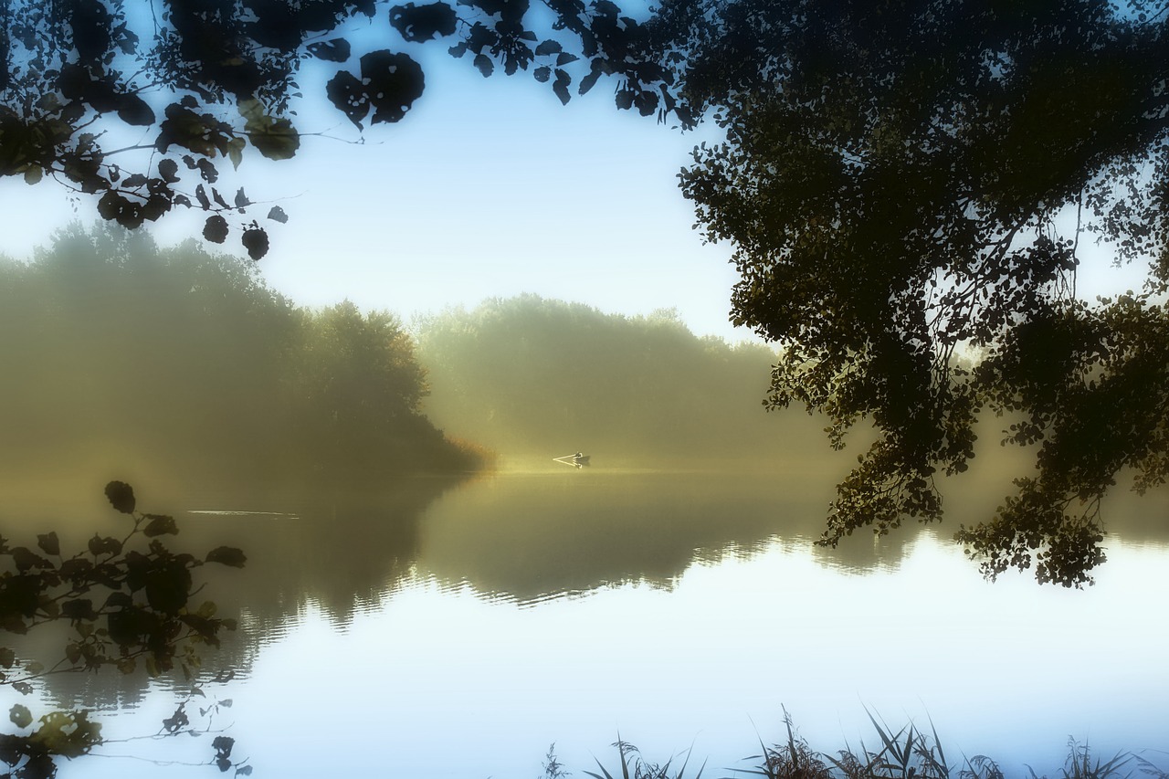 lake  rowing boat  water free photo