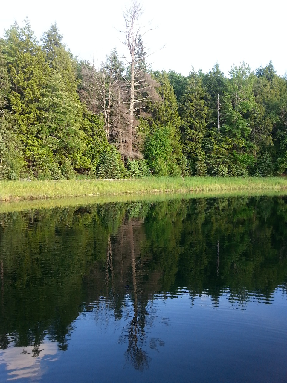 lake reflection shore free photo