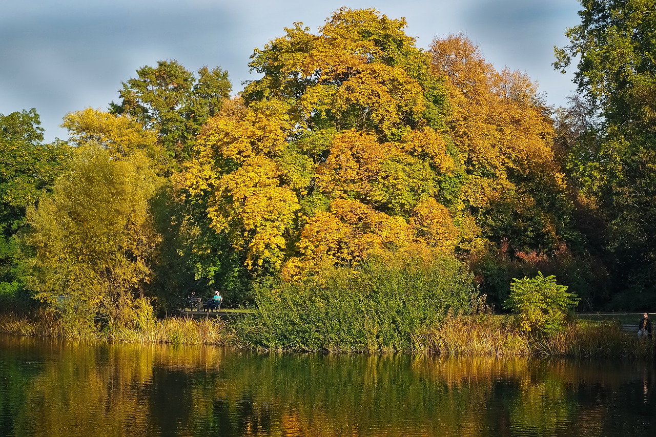 lake  trees  water free photo