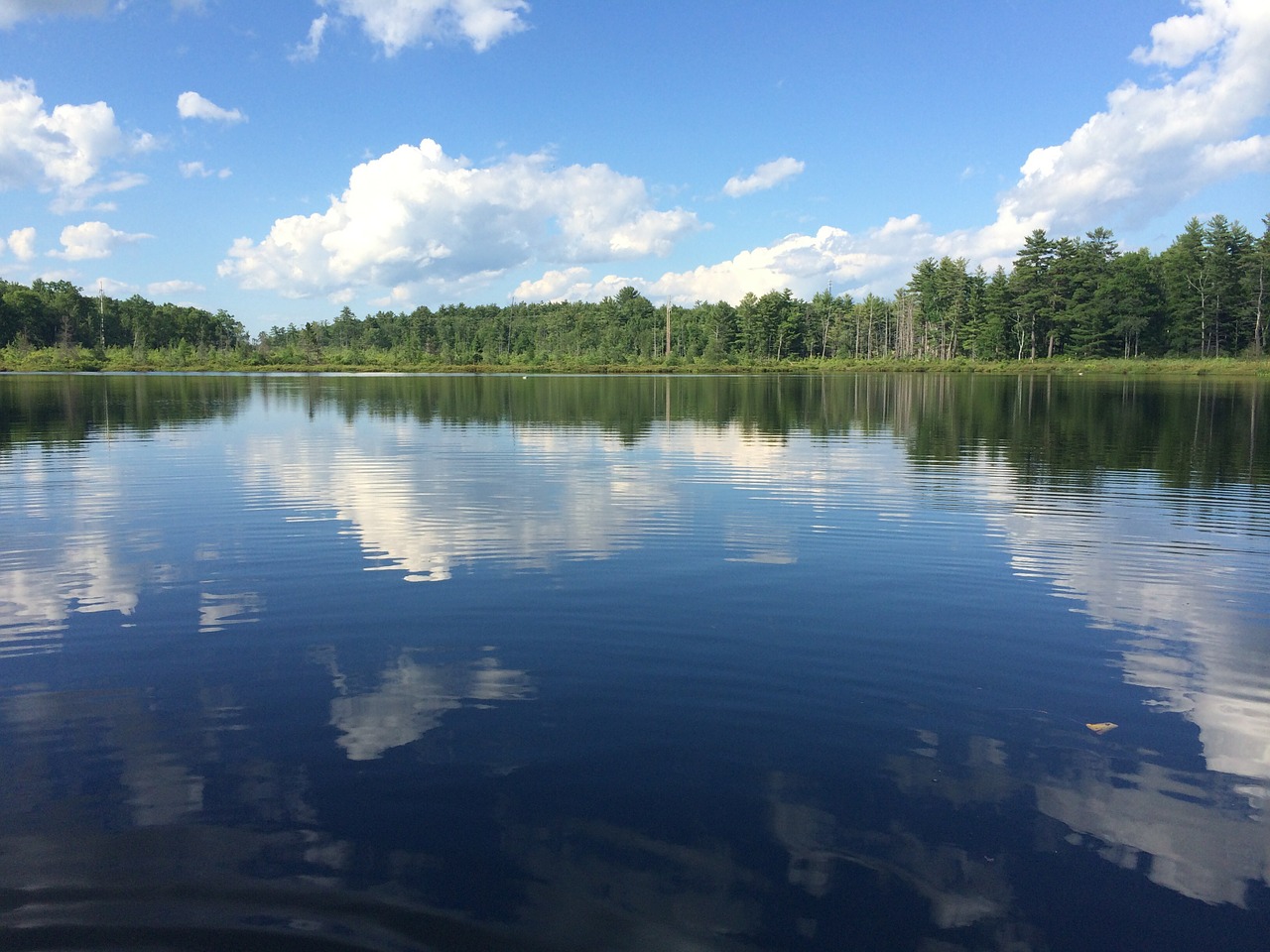 lake water trees free photo