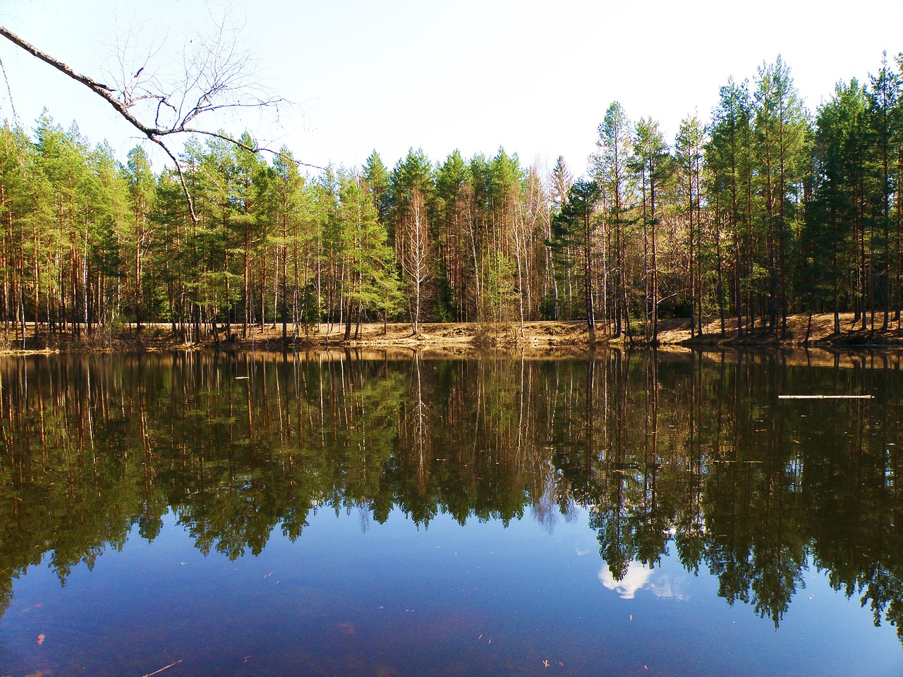 lake  russia  forest free photo