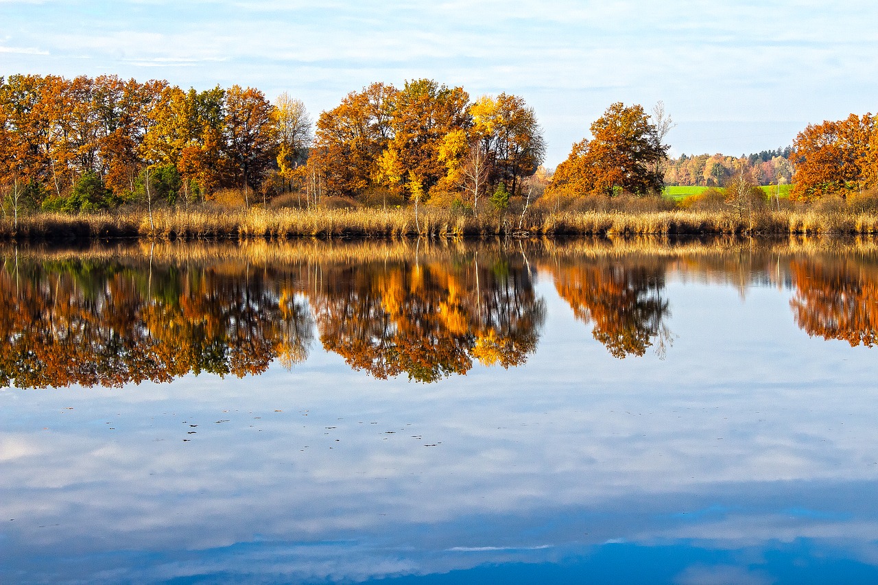 lake  autumn  nature free photo