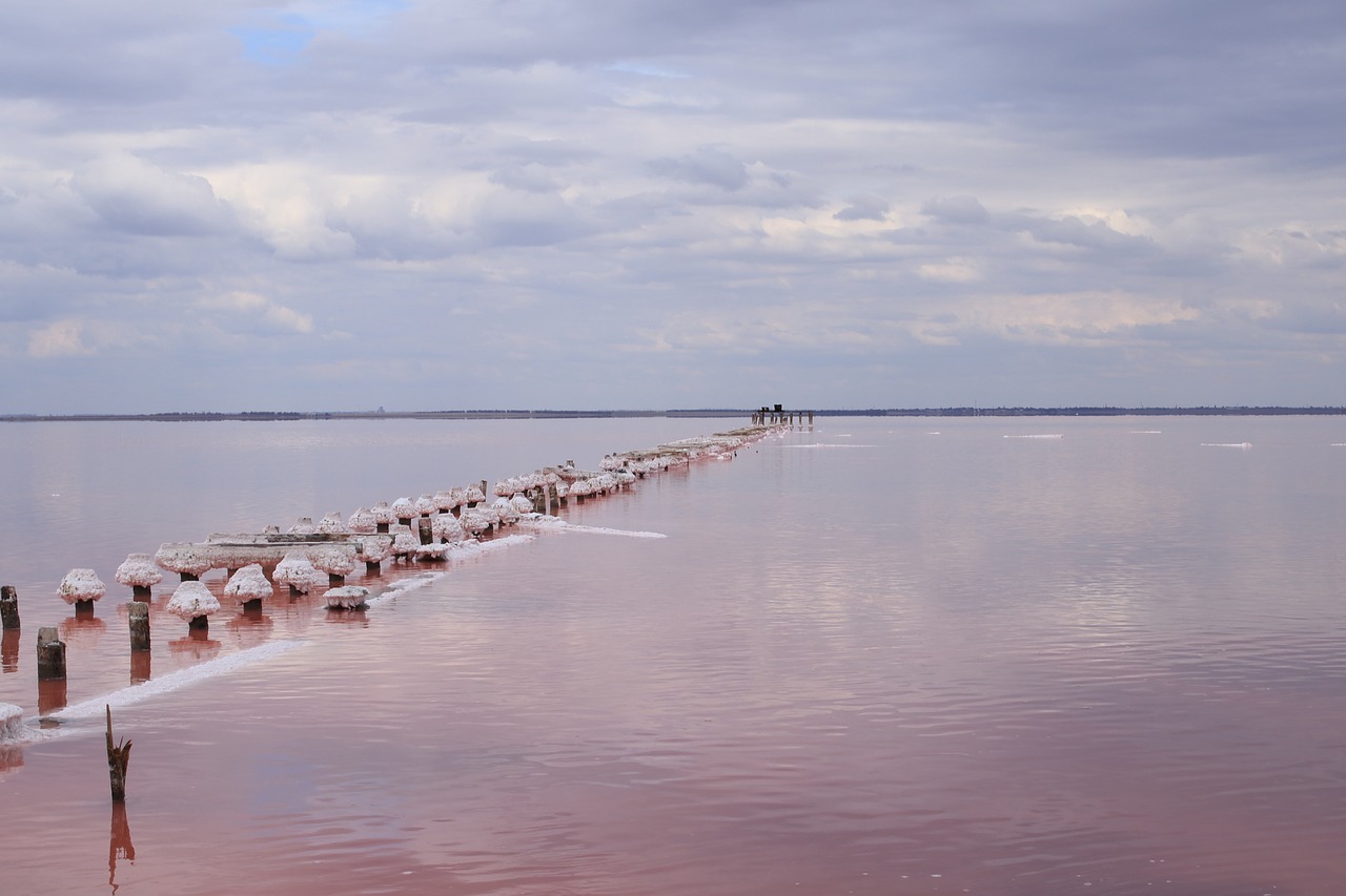 lake  horizon  sky free photo