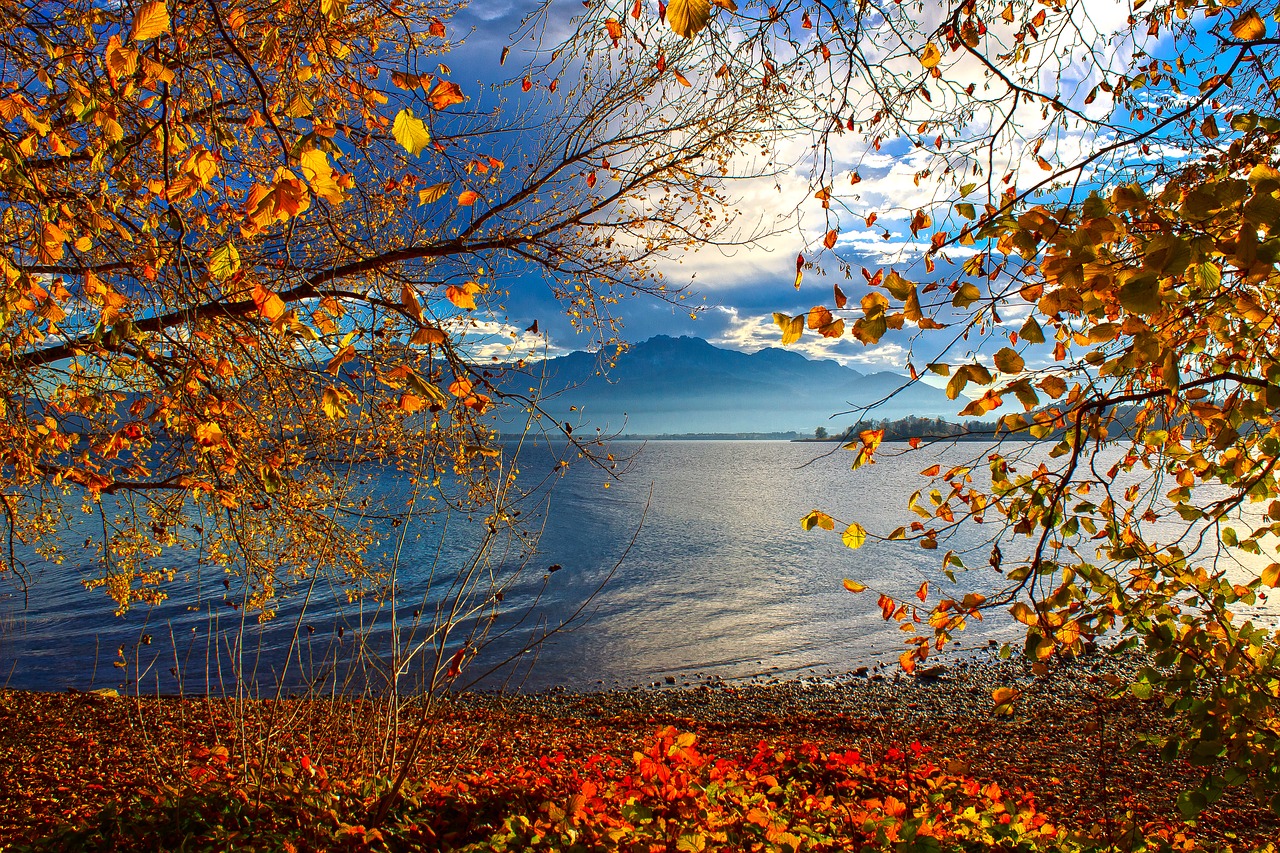 lake  chiemsee  alpine free photo