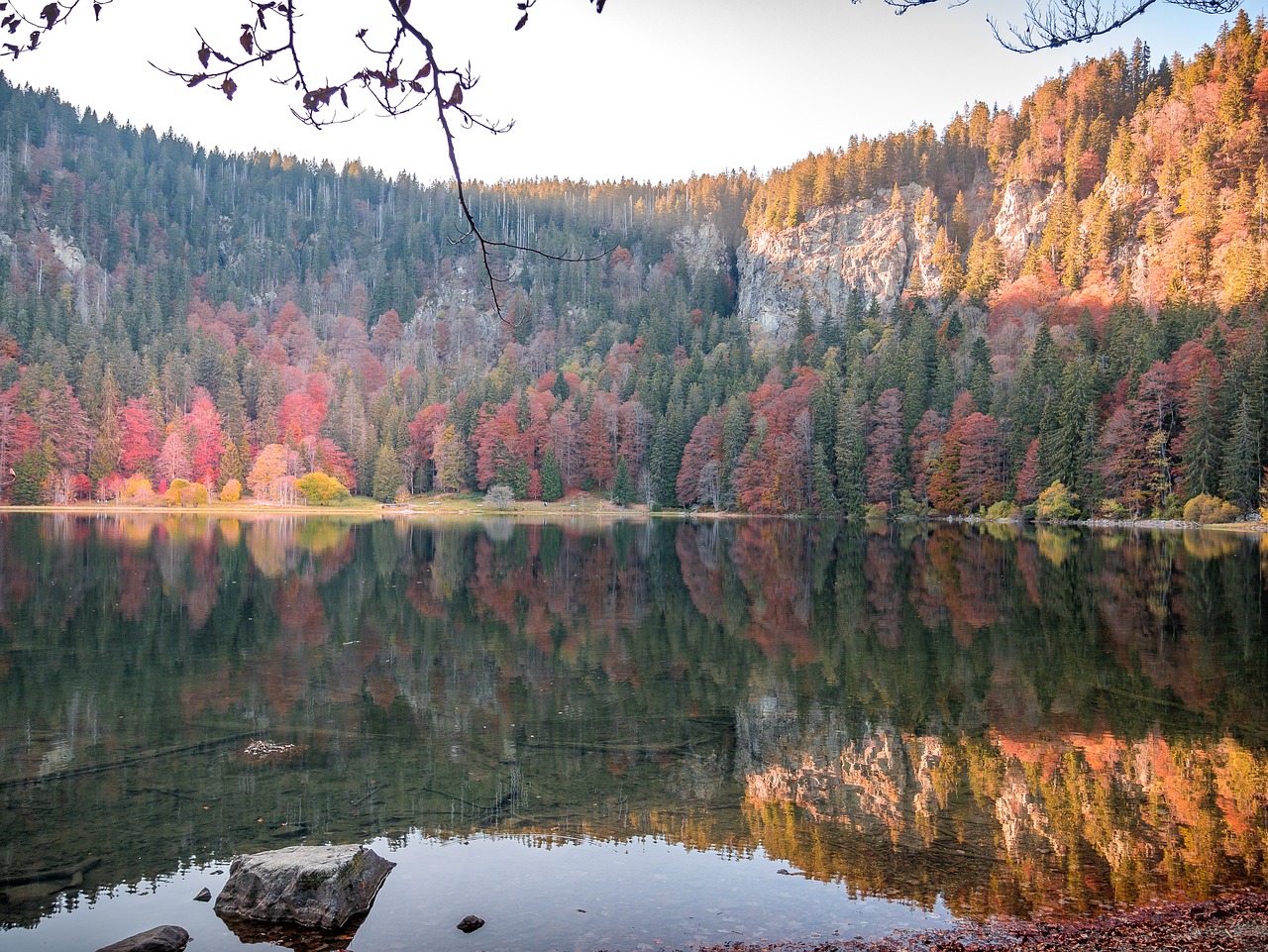 lake  waldsee  forest free photo