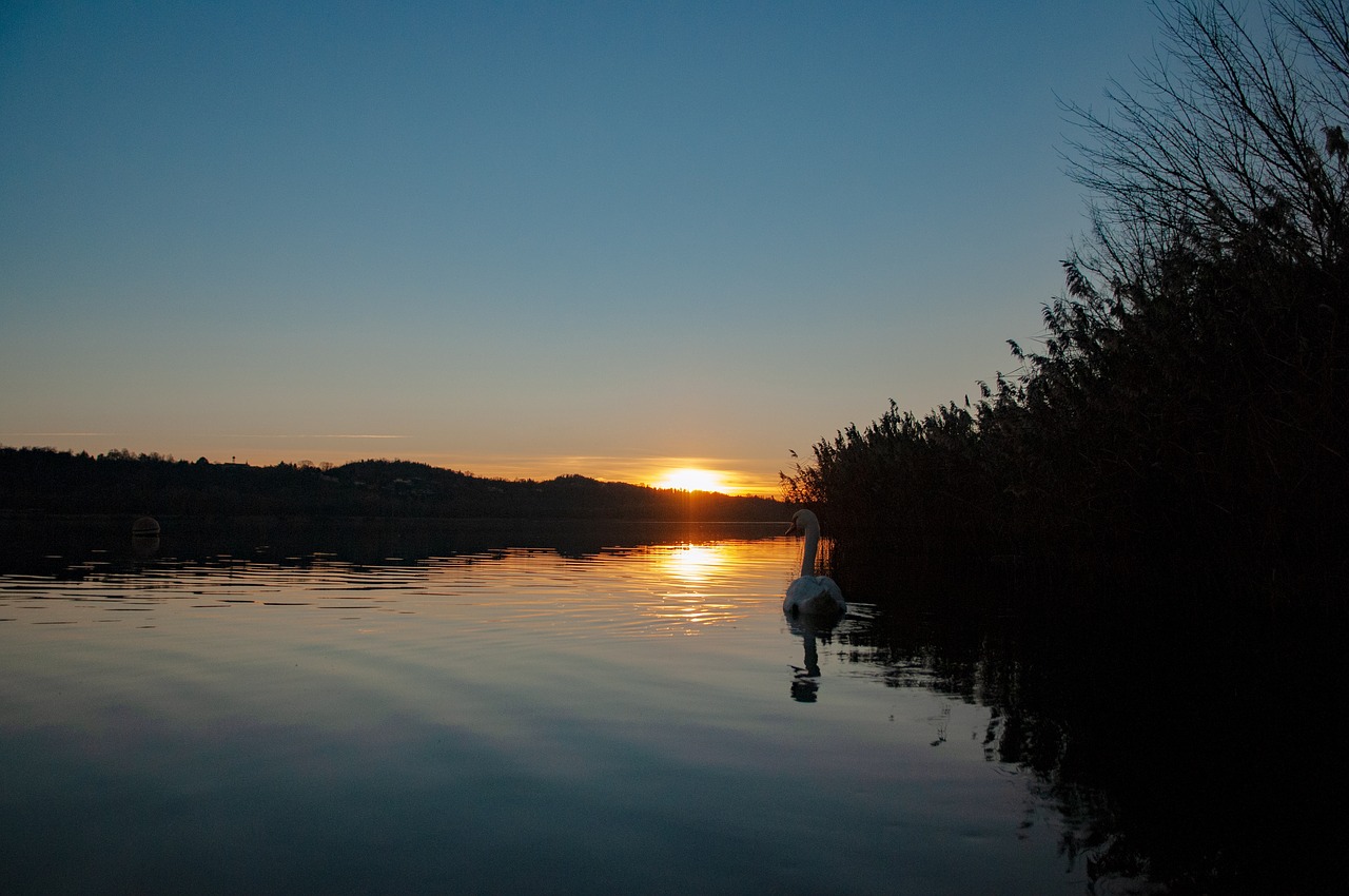 lake  sunset  water free photo