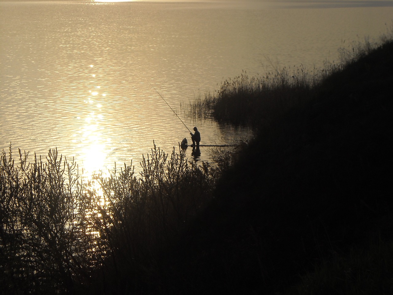 lake  pond  fisherman free photo