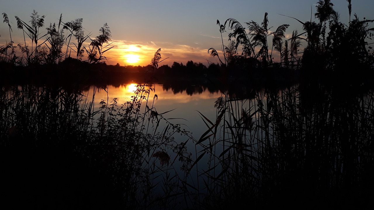 lake  peace  nature free photo