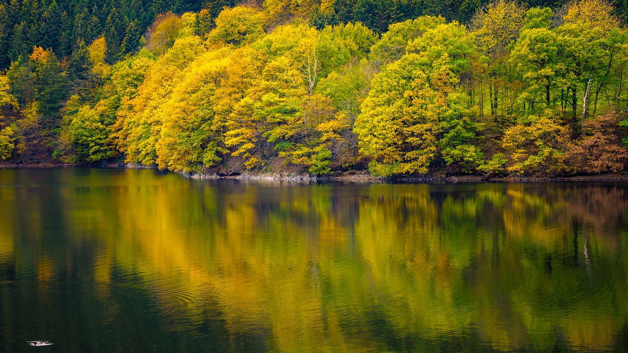 lake  green  autumn free photo