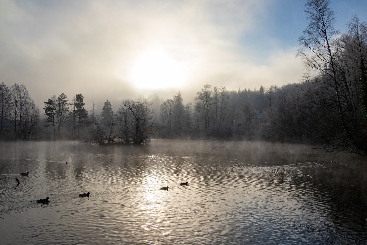 lake  light  haze free photo