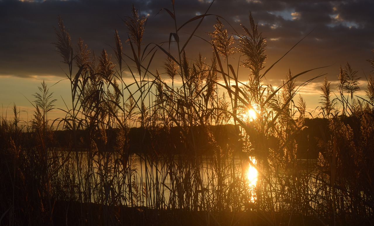 lake  sunset  landscape free photo