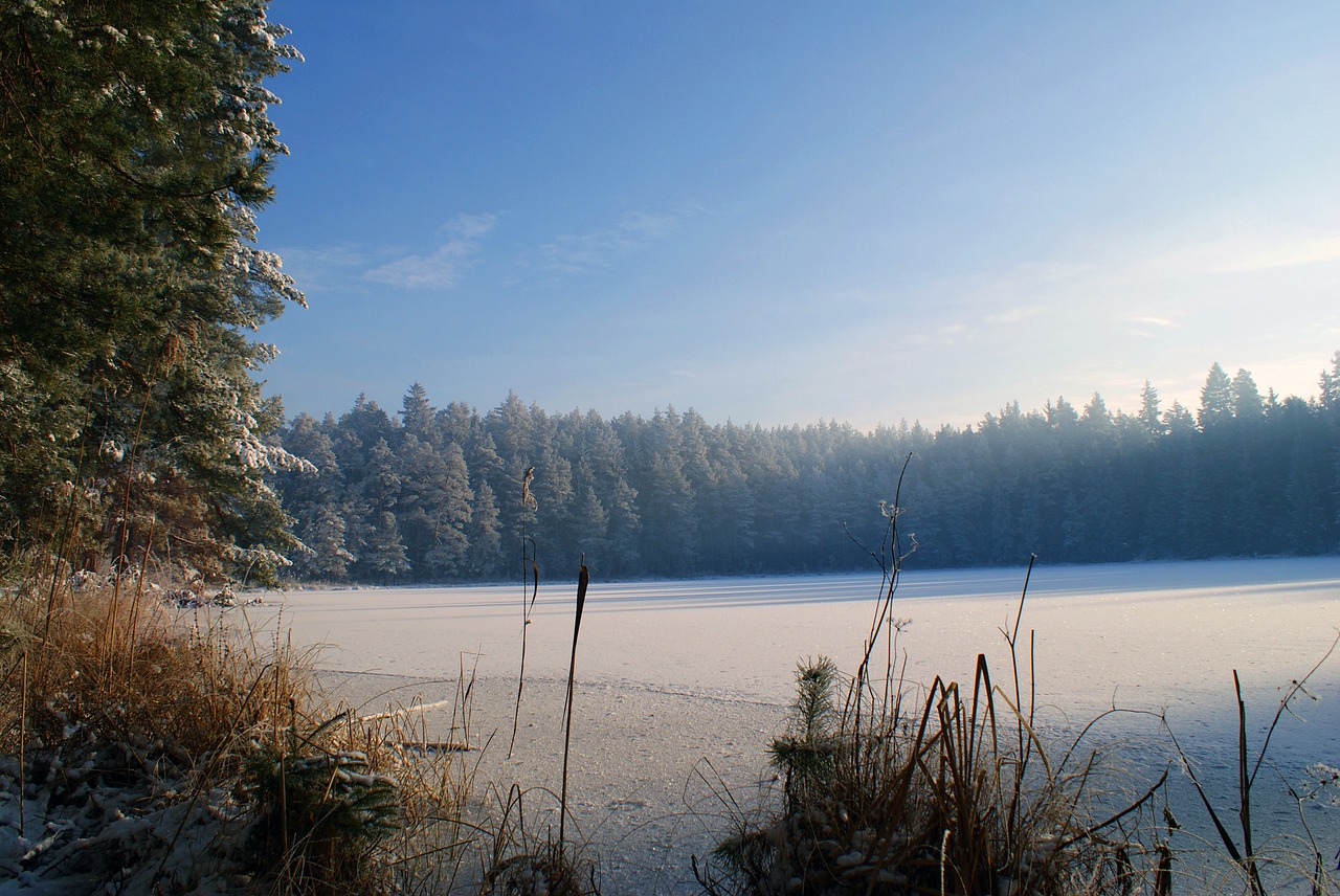 lake  winter  forest free photo