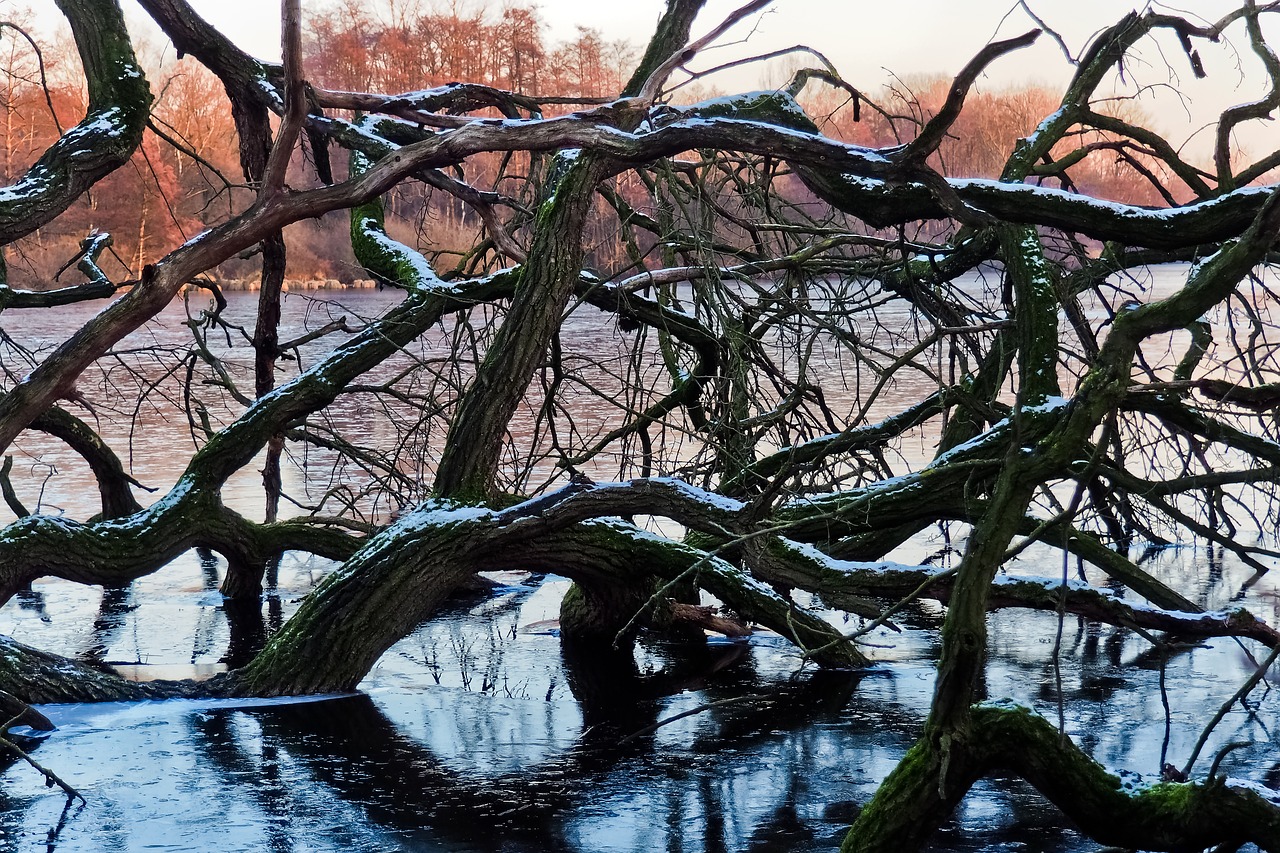 lake  landscape  nature free photo