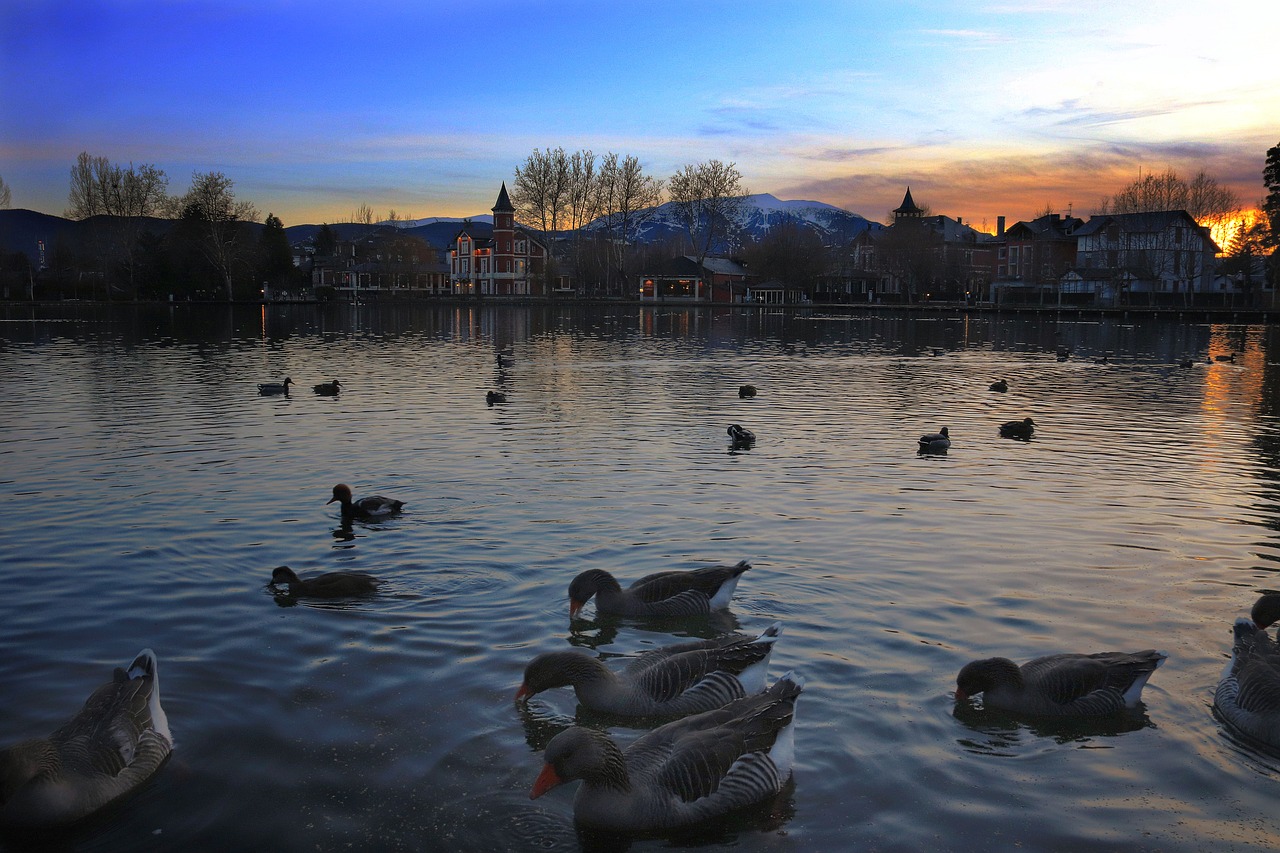 lake  dusk  romantic free photo