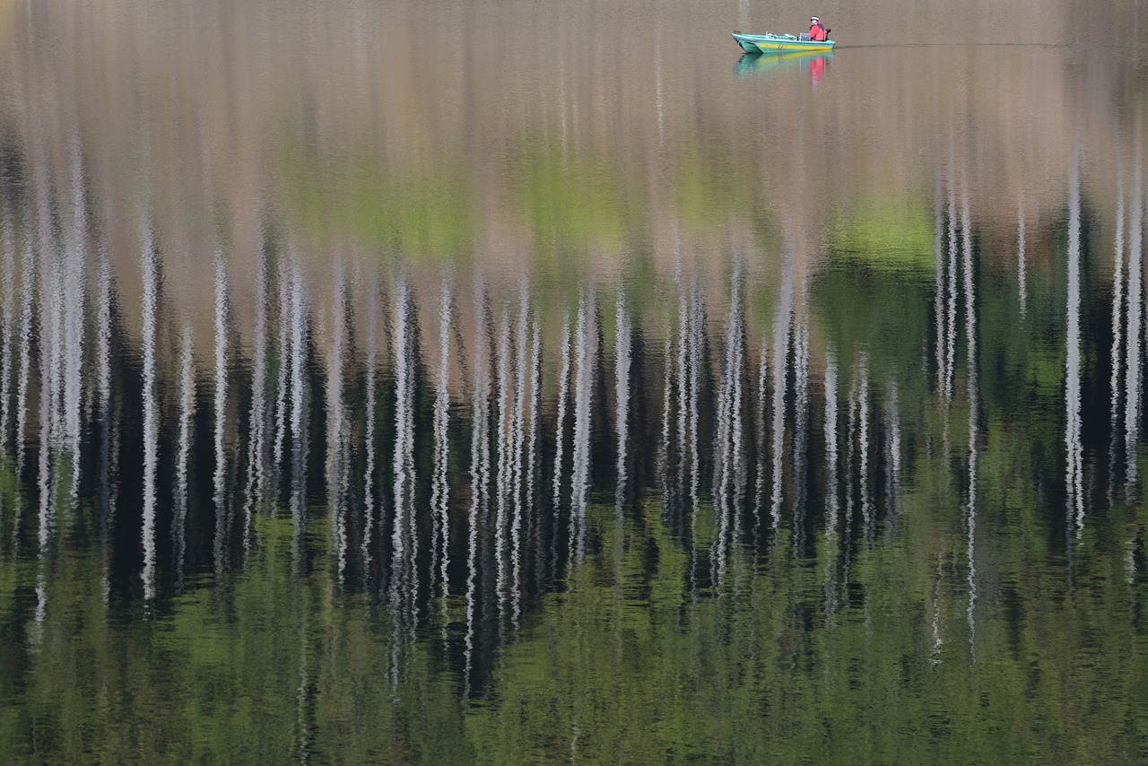 lake  lakeside  reflection free photo