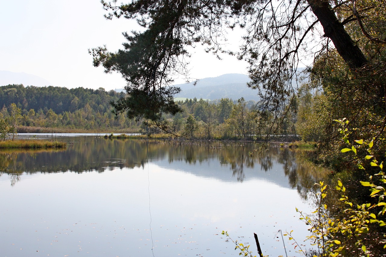 lake  mirroring  water free photo