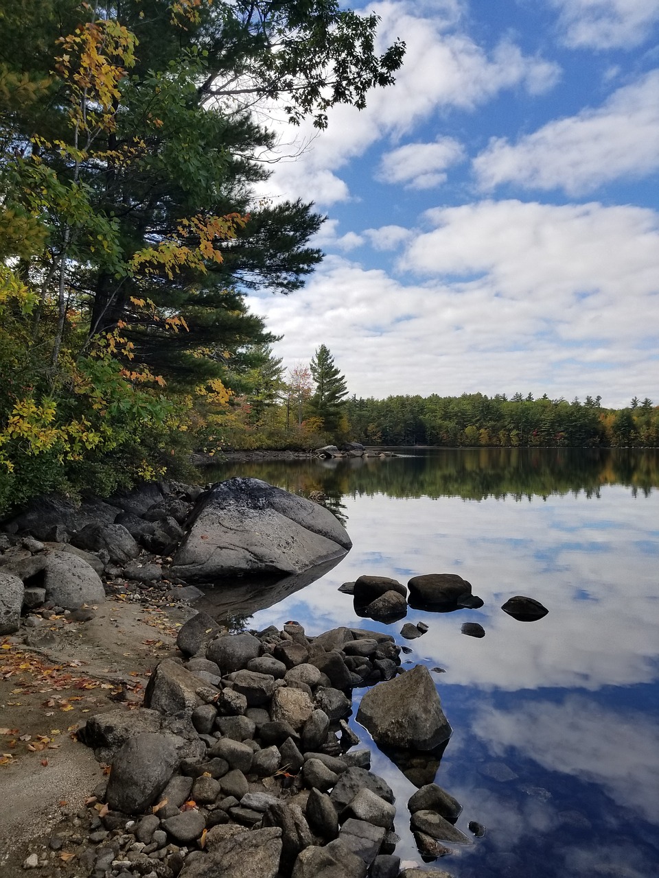 lake  shore  reflection free photo