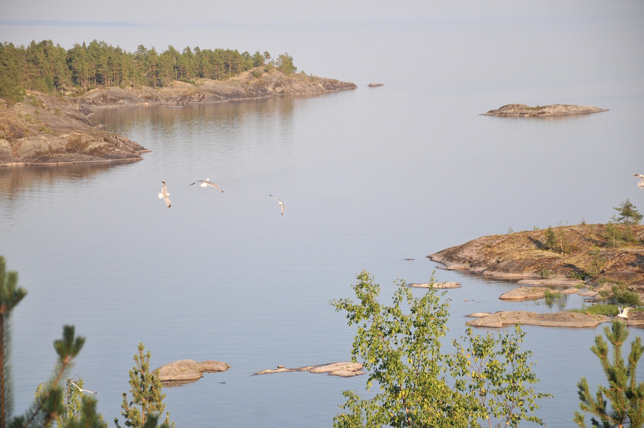 lake  ladoga  landscape free photo