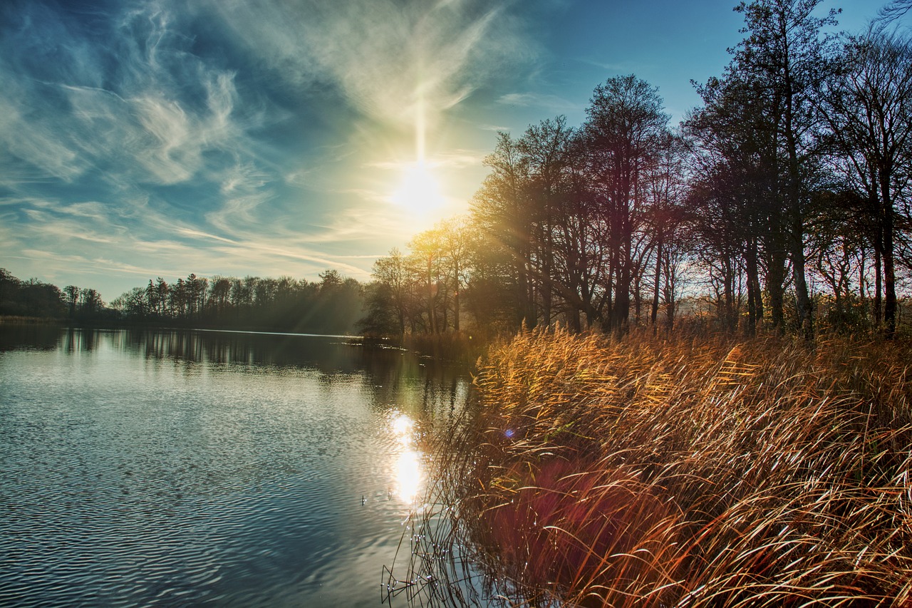 lake  natural  water free photo