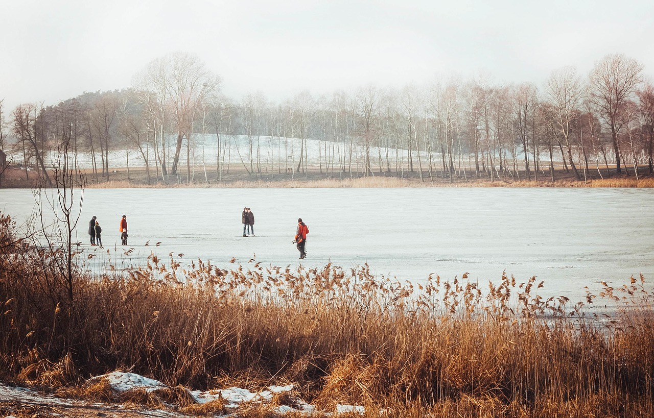 lake  ice  winter free photo