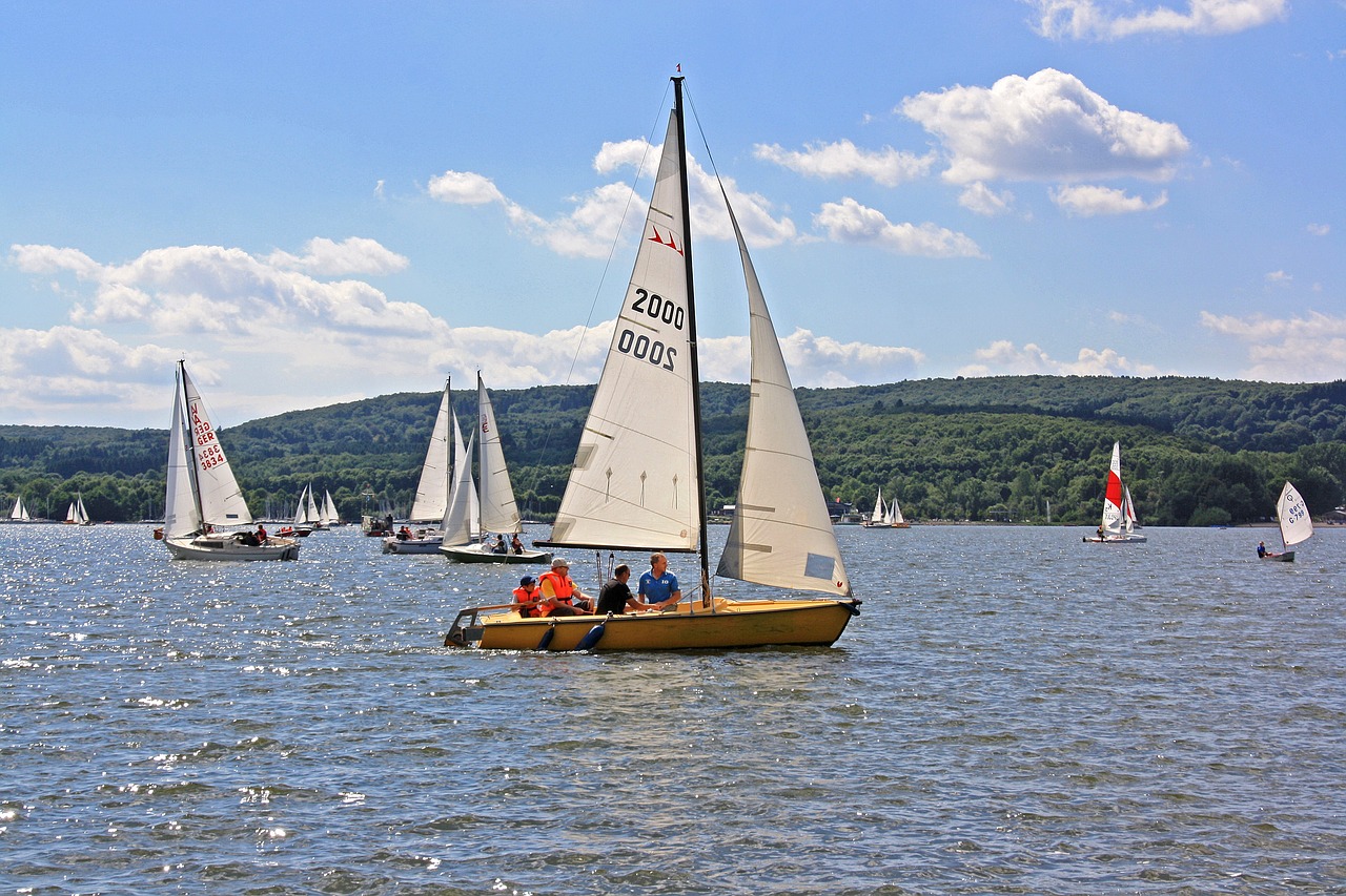 lake  water  sailing boats free photo