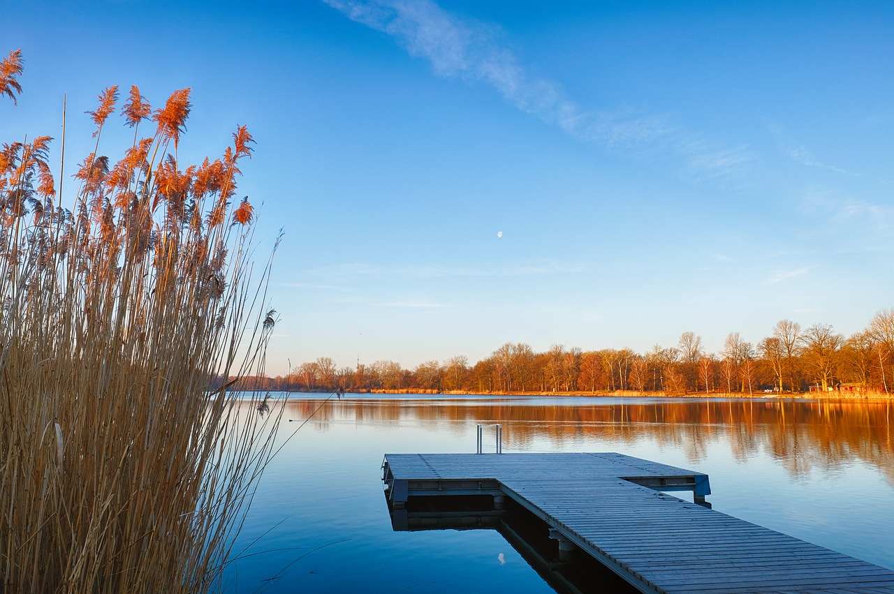 lake  water  jetty free photo