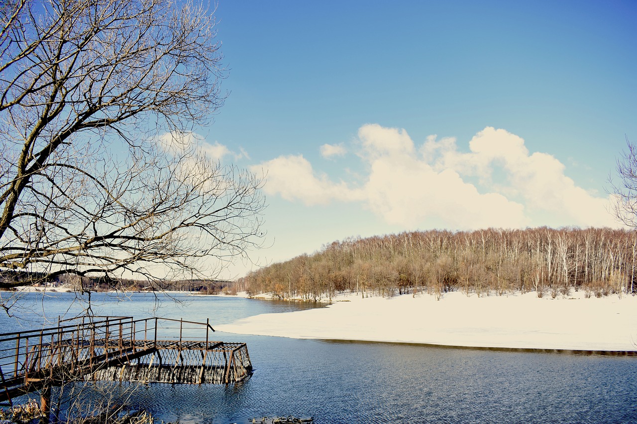 lake  pond  winter free photo