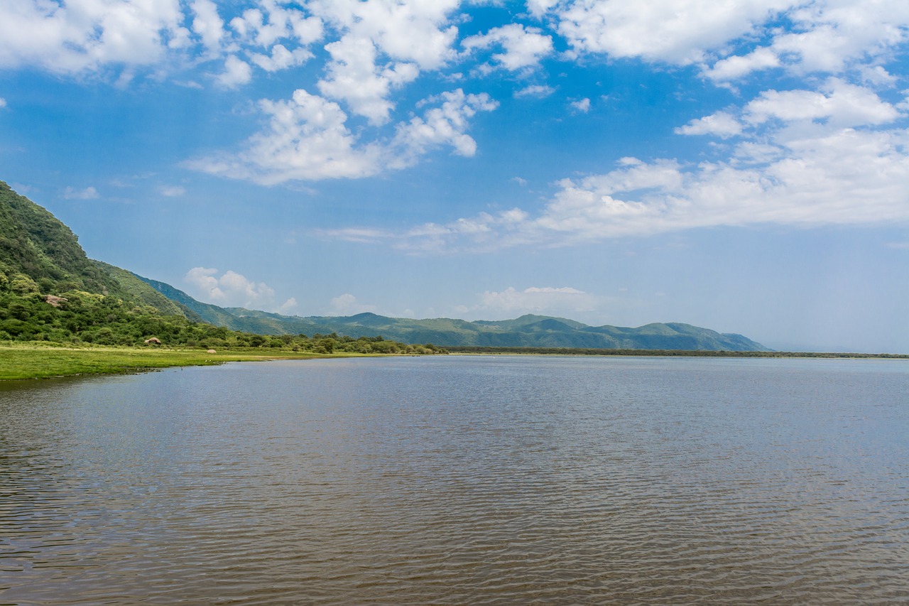 lake  manyara  africa free photo