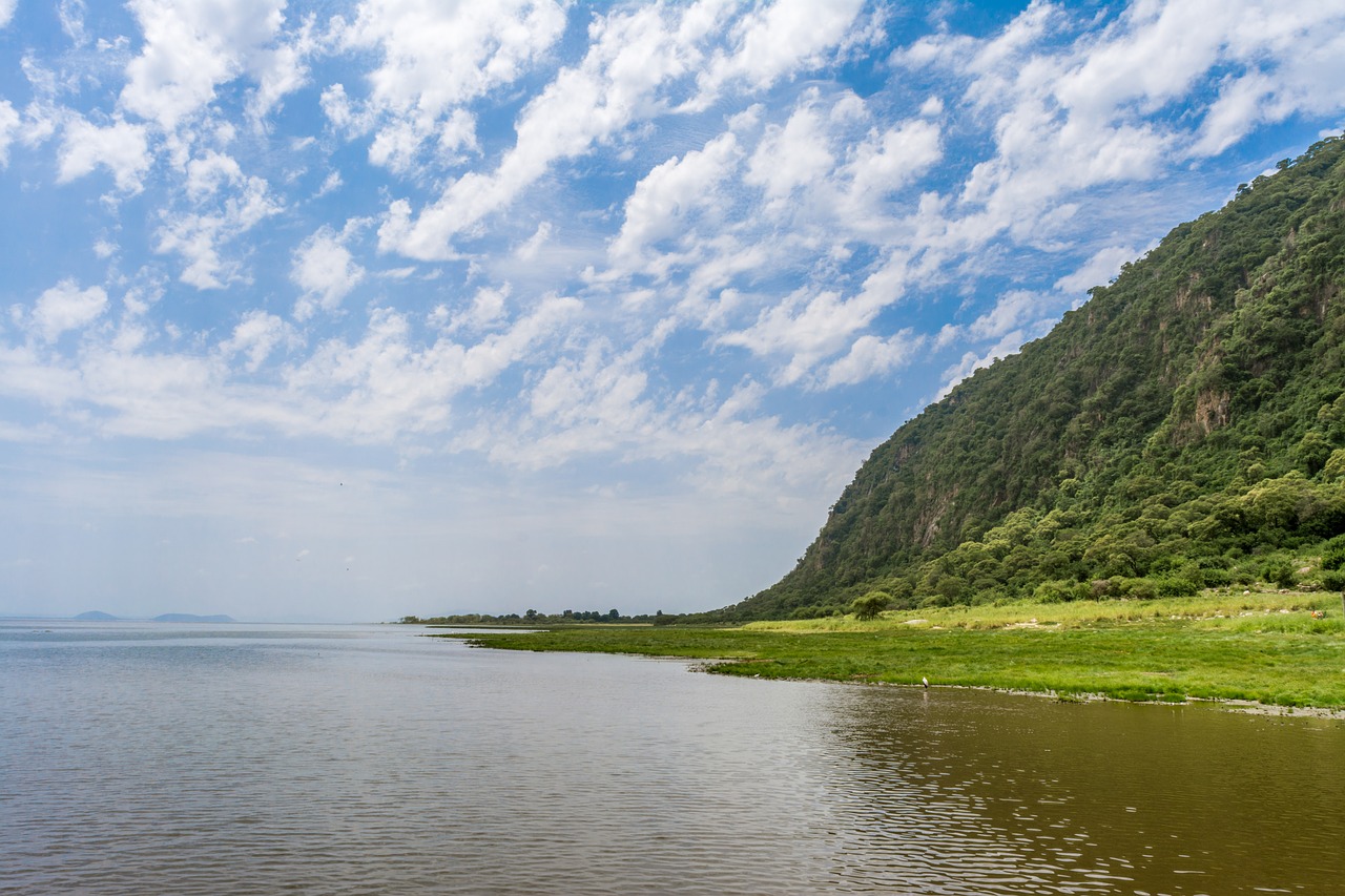 lake  manyara  africa free photo