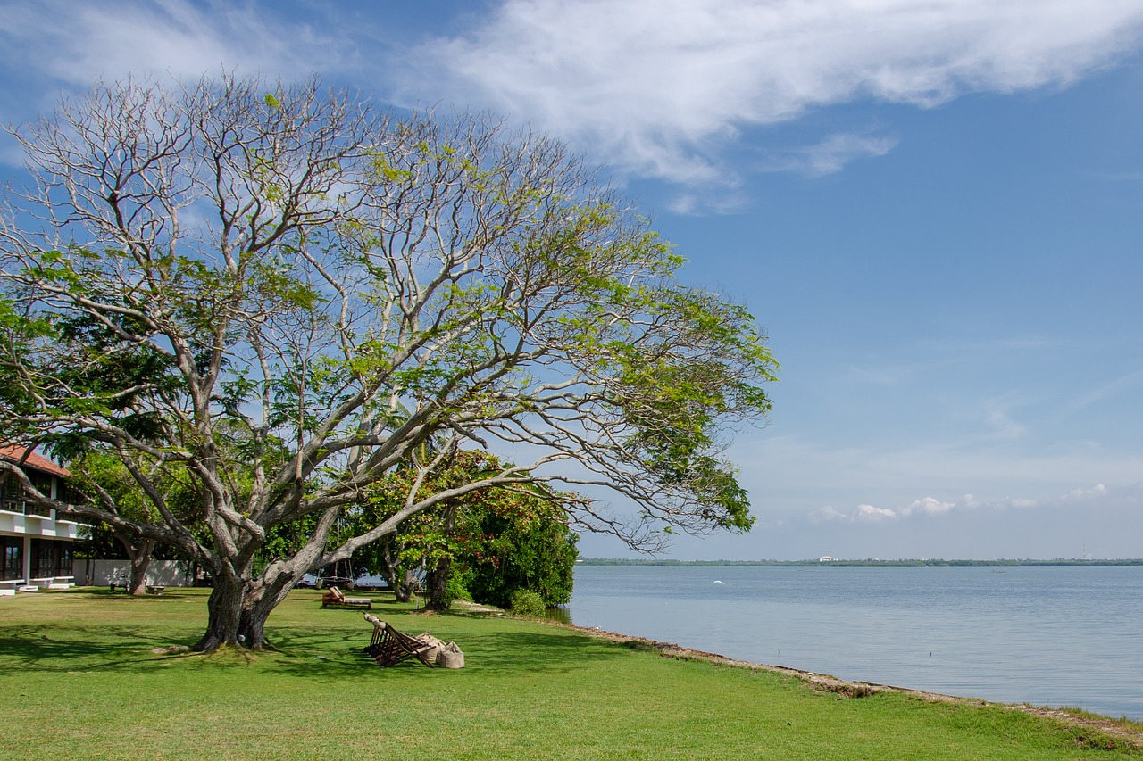 lake  calm  relaxing free photo