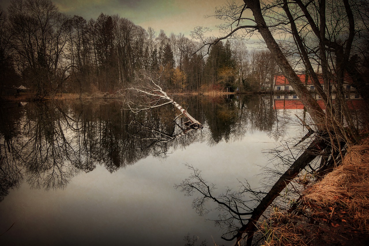 lake  pond  water free photo