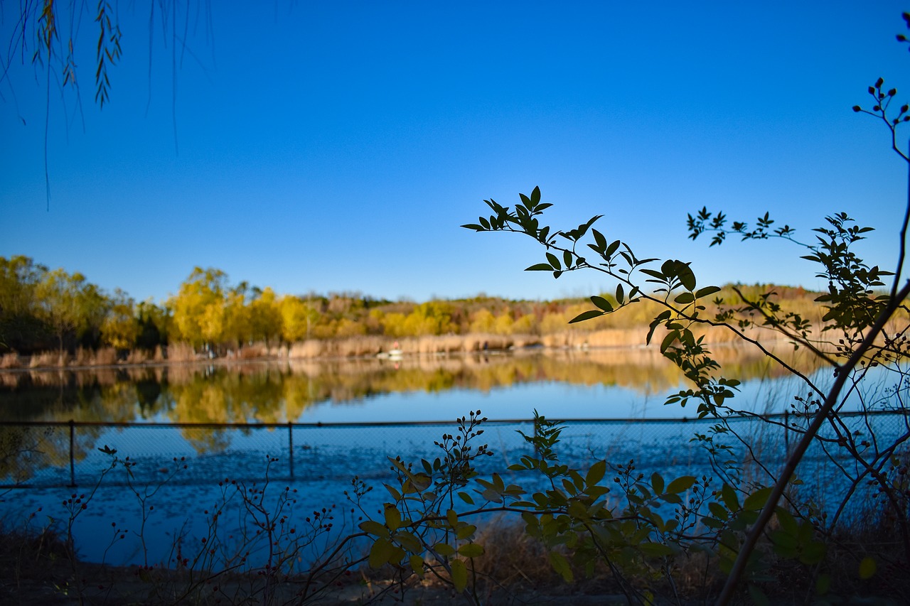 lake  autumn  blue sky free photo