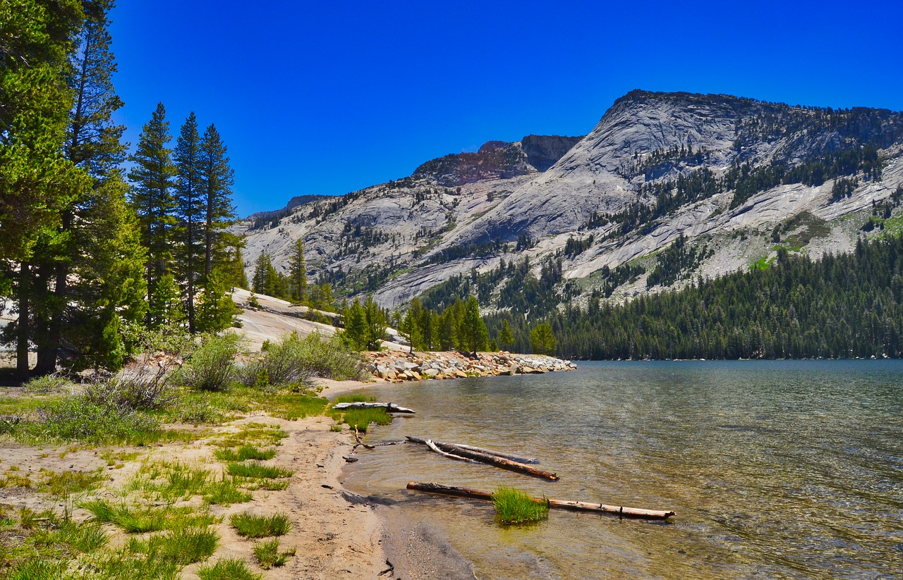 lake  landscape  lonely free photo