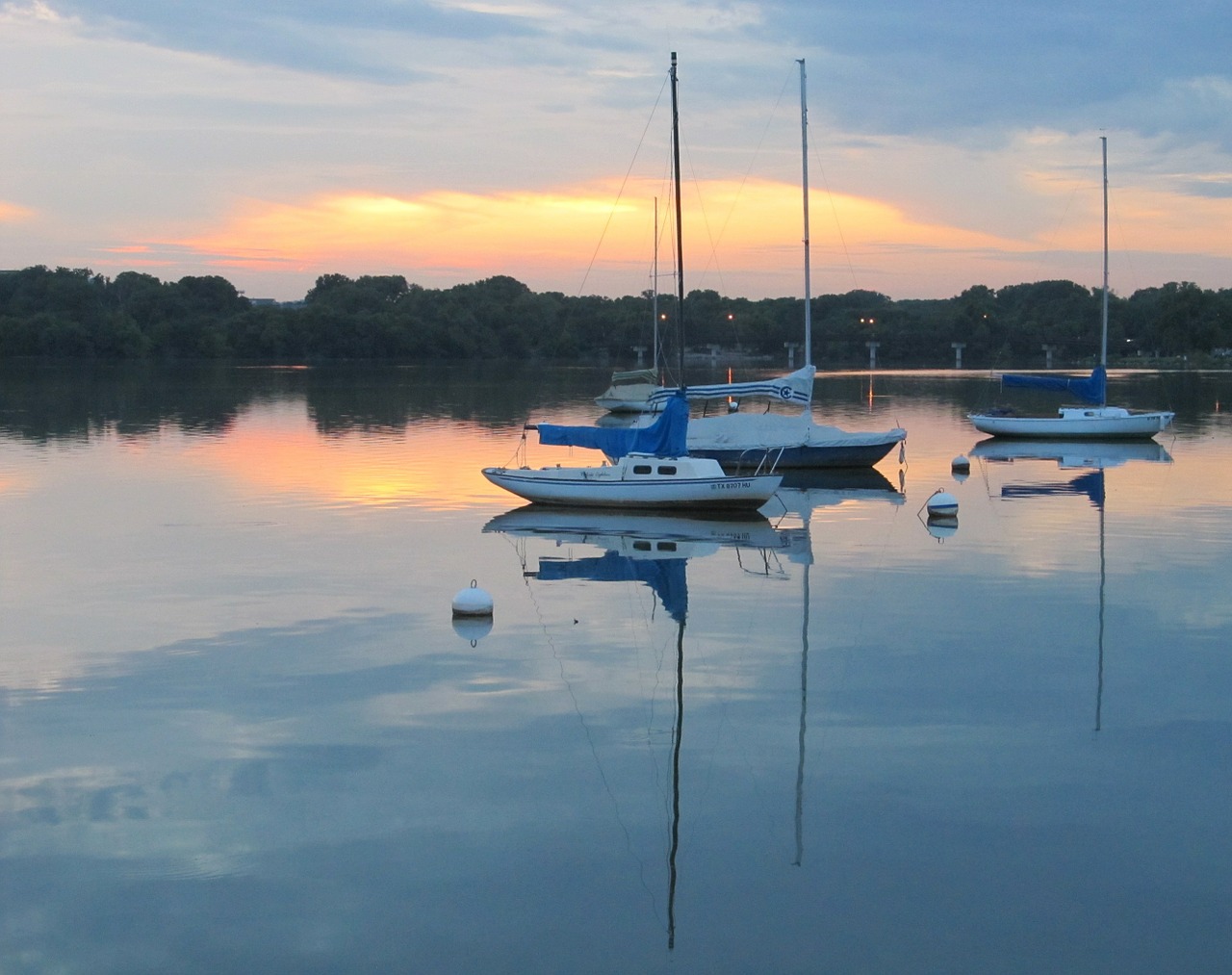 lake sunset sail boats free photo