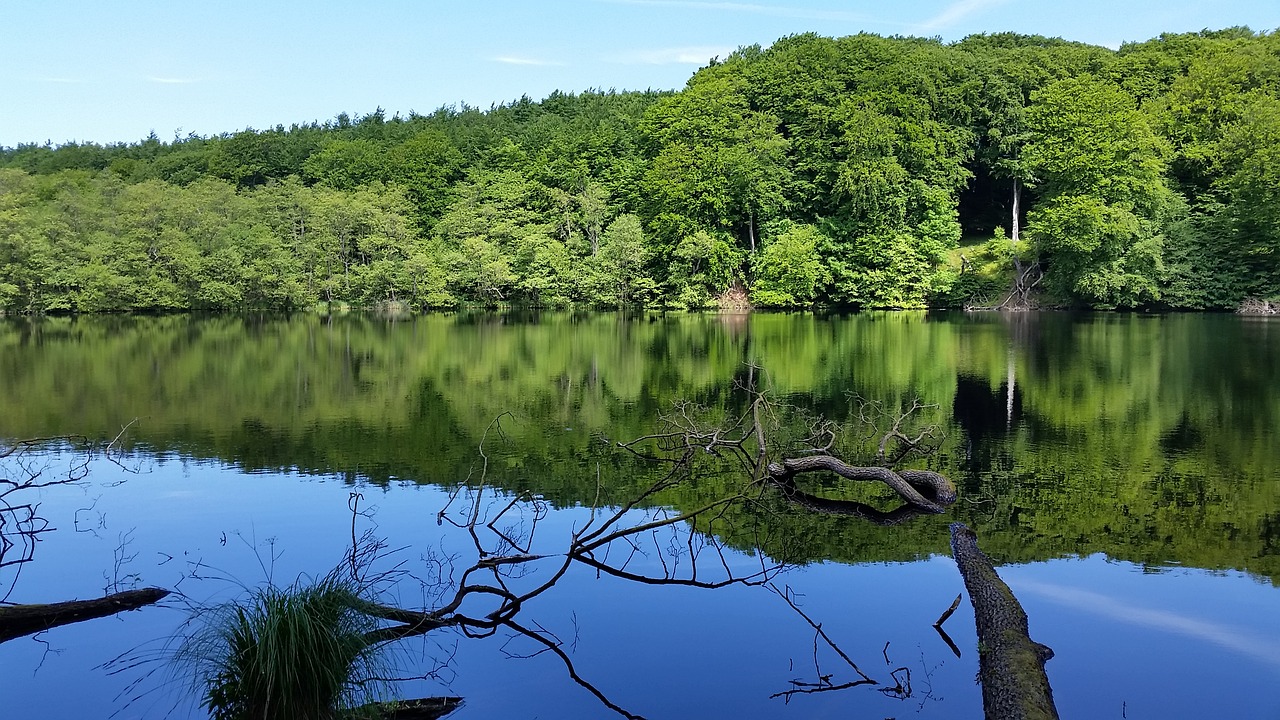 lake  landscape  woods free photo