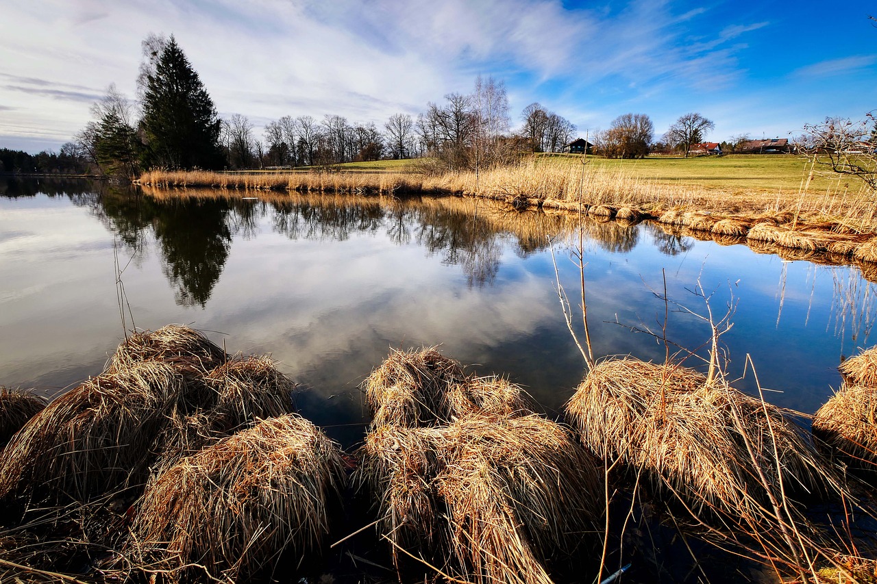 lake  reflection  mirroring free photo