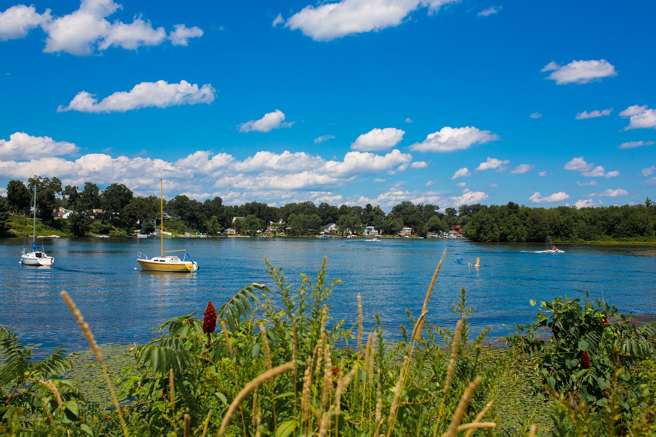 lake  boat  summer free photo