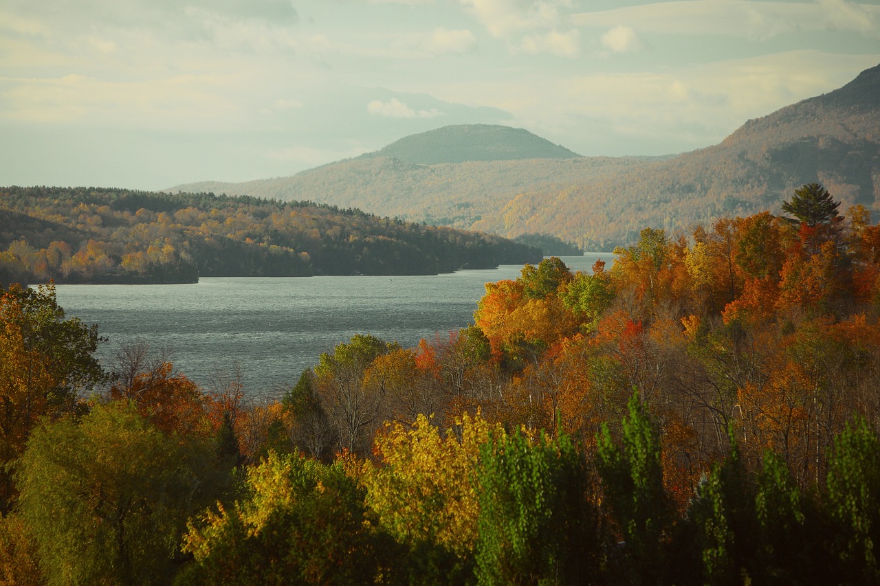 lake forest nature free photo