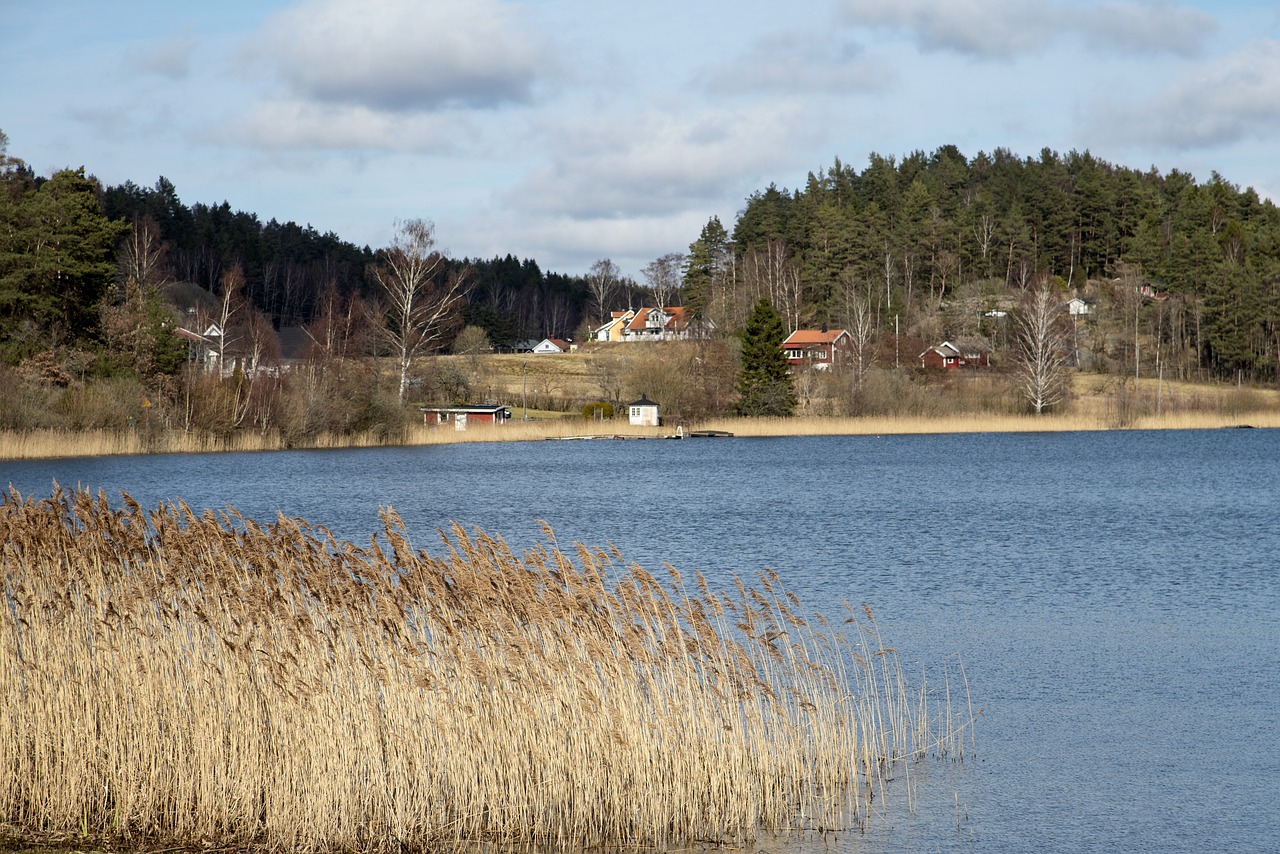 lake  water  nature free photo