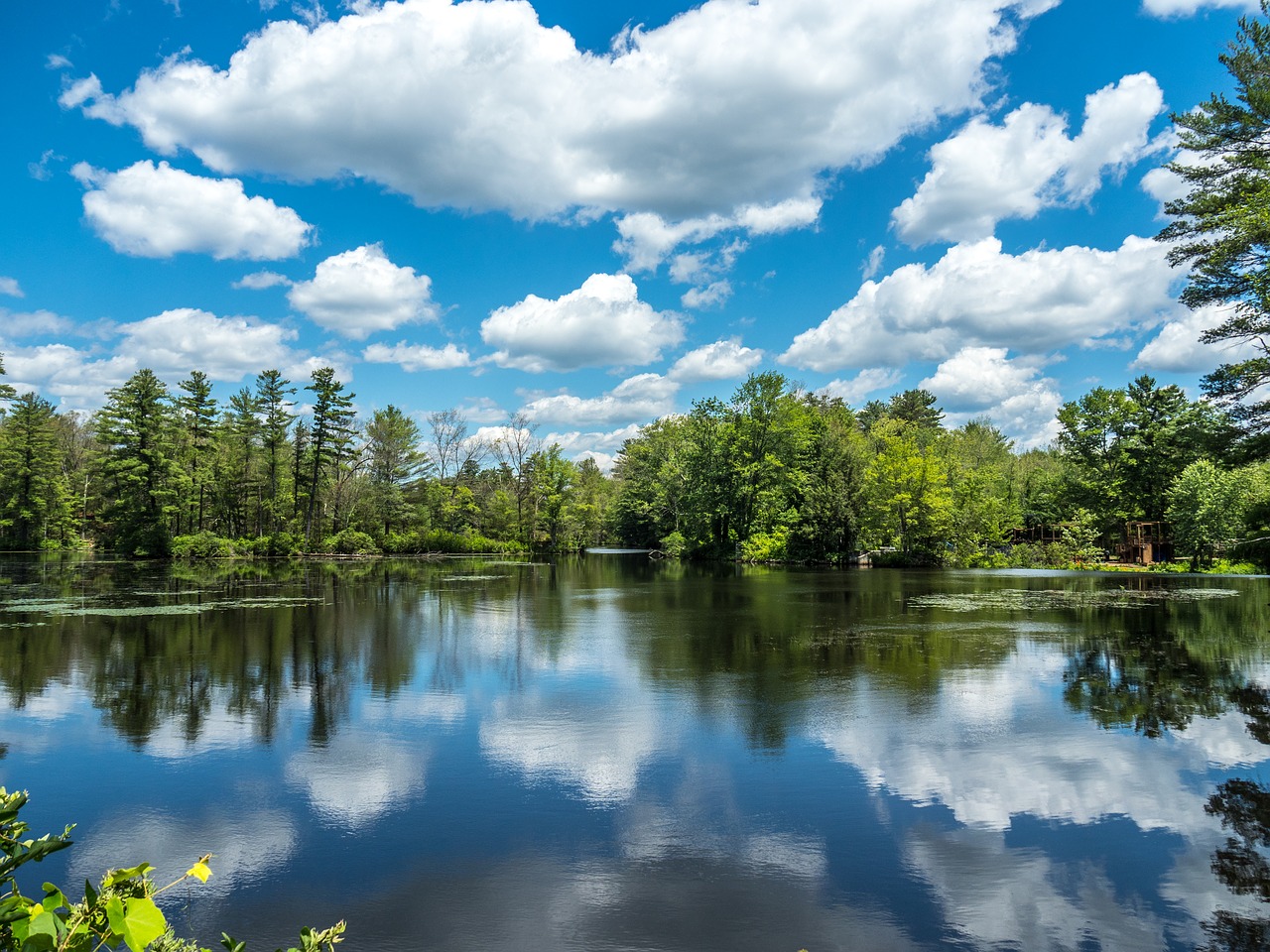 lake  water  summer free photo