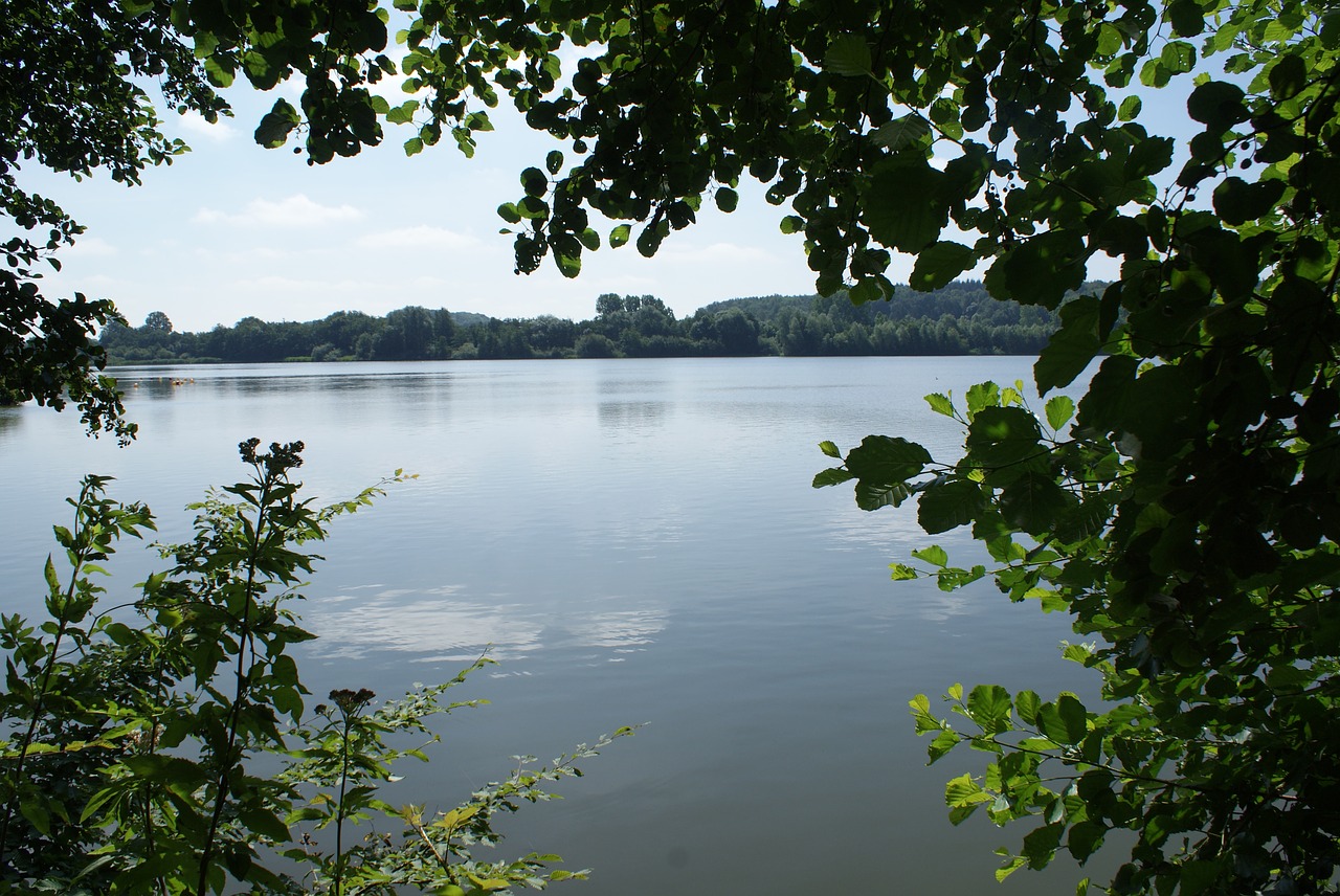 lake  landscape  nature free photo