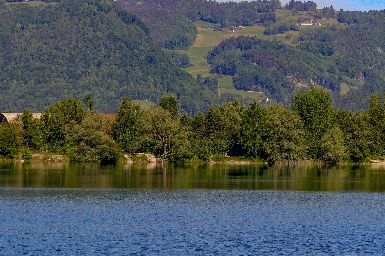 lake  mirroring  nature free photo