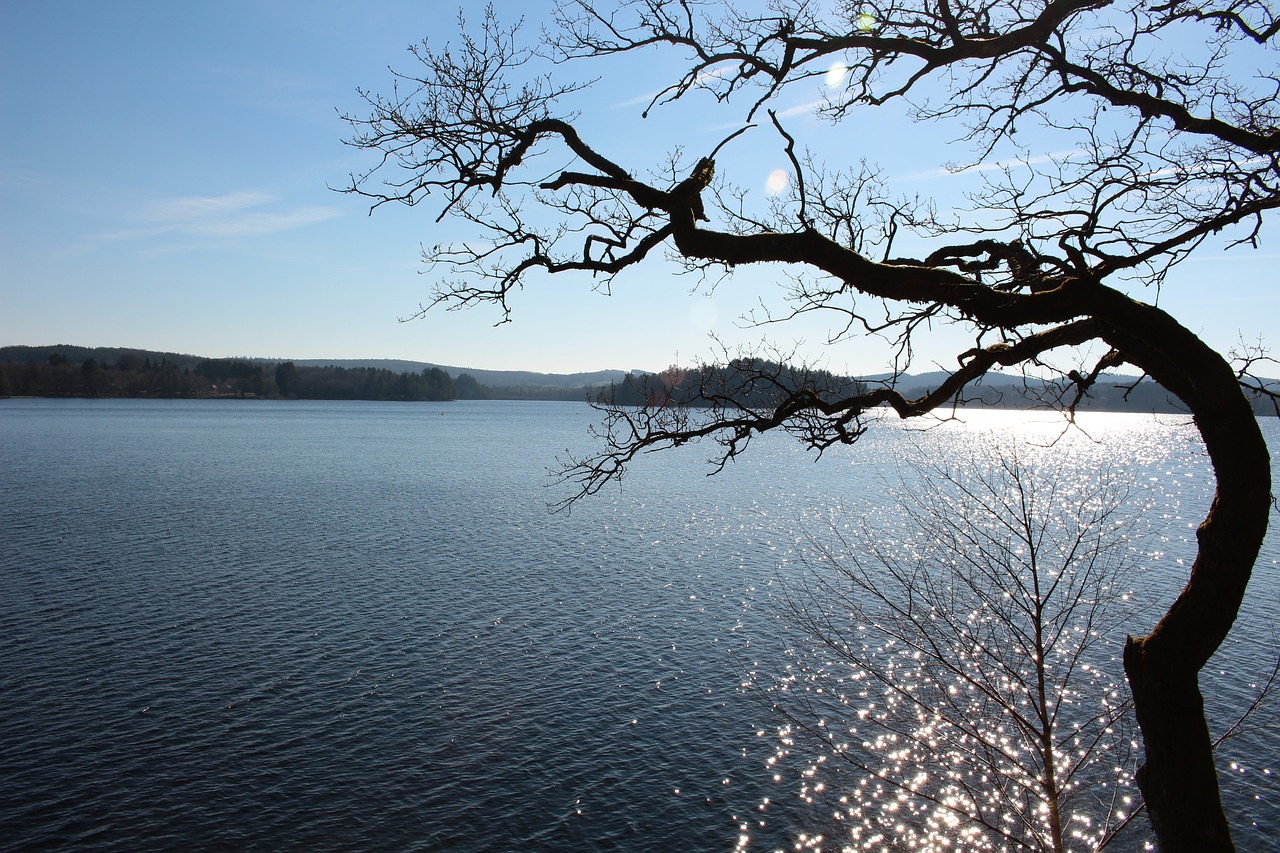 lake  nature  horizon free photo