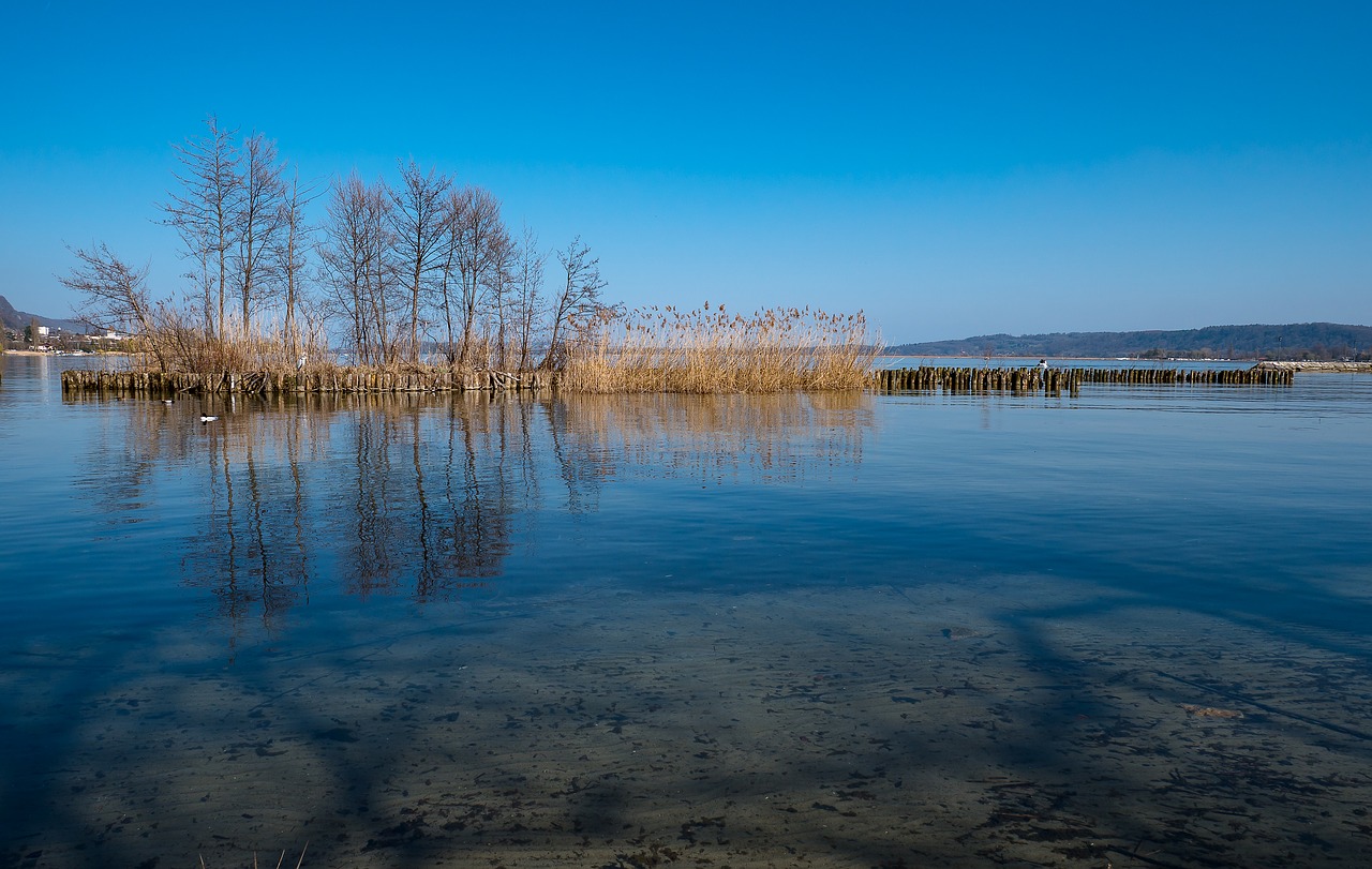 lake  water  shore zone free photo