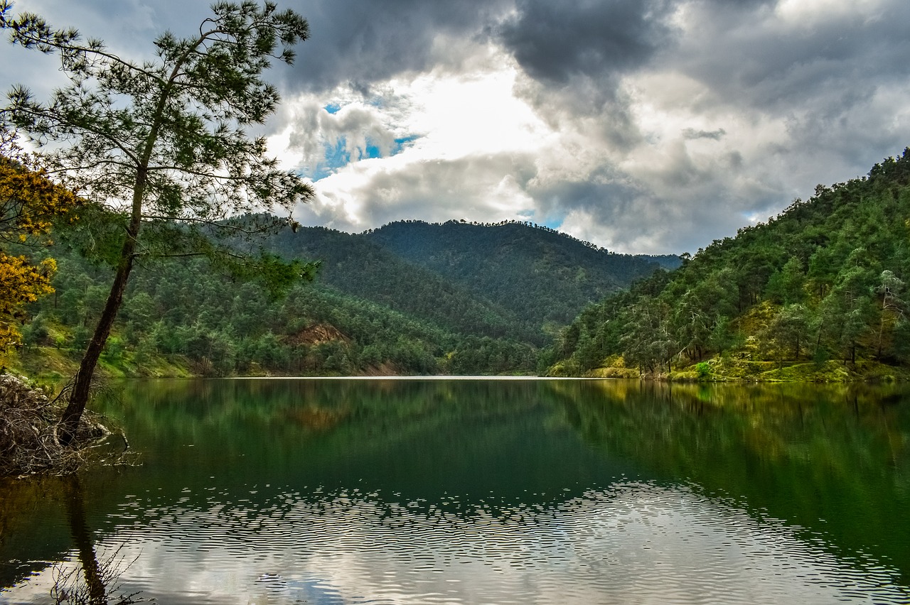 lake  mountains  tree free photo